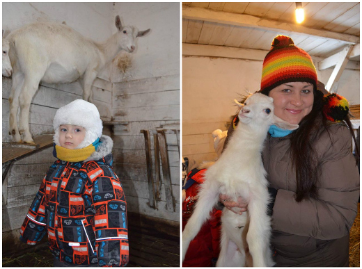 Отдых за городом для всей семьи, зимние каникулы